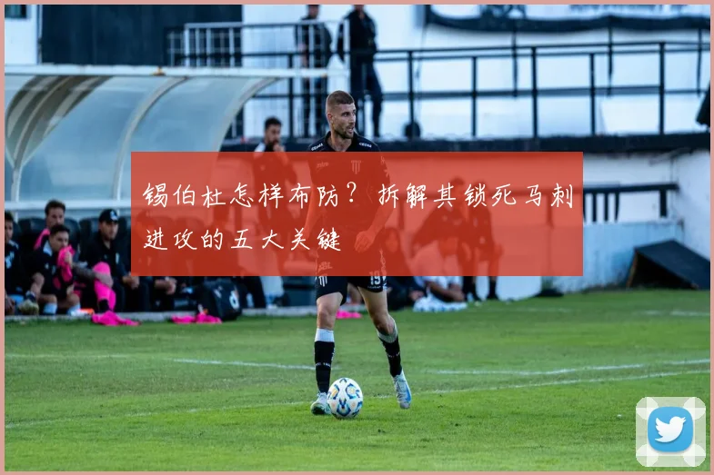 锡伯杜怎样布防？拆解其锁死马刺进攻的五大关键