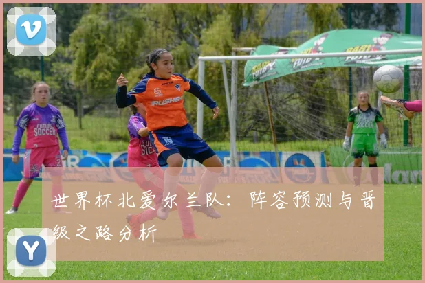 世界杯北爱尔兰队：阵容预测与晋级之路分析